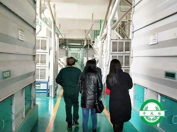 领导视察